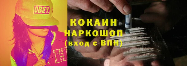 mdpv Богородск