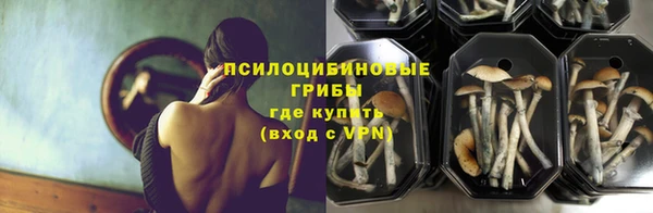 mdpv Богородск